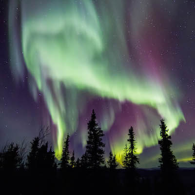 Top Things to Do in Fairbanks, Alaska - Running Reindeer Ranch