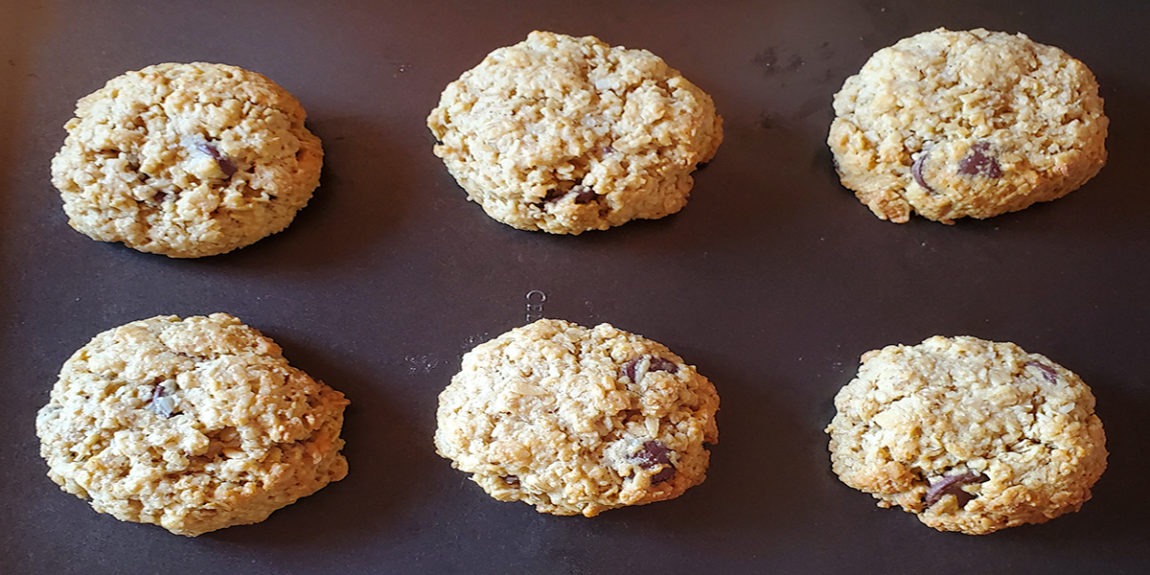 running-reindeer-ranch-take-a-walk-with-reindeer