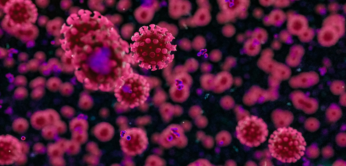 running-reindeer-ranch-take-a-walk-with-reindeer